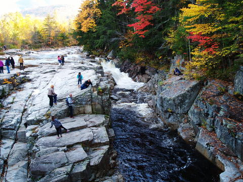 Enjoying the fall #4