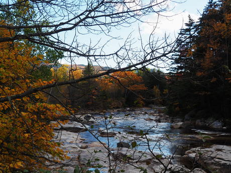 Fall on the Kancamagus Highway #7
