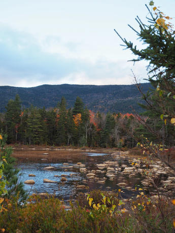Fall on the Kancamagus Highway #9