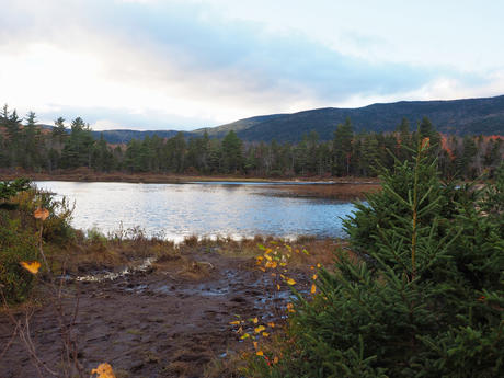 Fall on the Kancamagus Highway #10