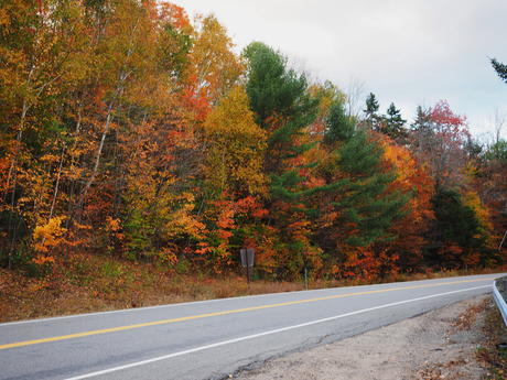 Fall on the Kancamagus Highway #13