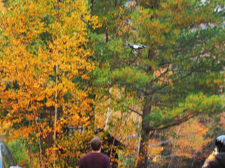 Capturing fall colors with a drone #2