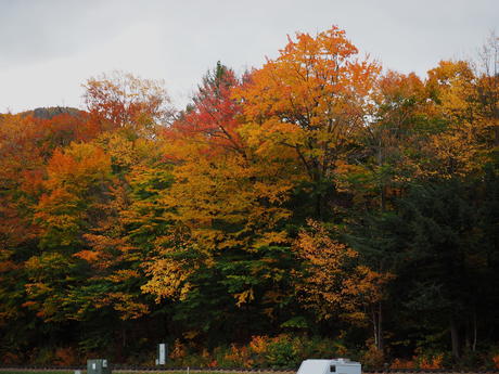 Fall at Loon Mountain