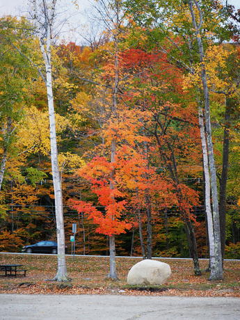 Fall at Loon Mountain #4