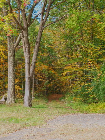 Just starting to turn #2