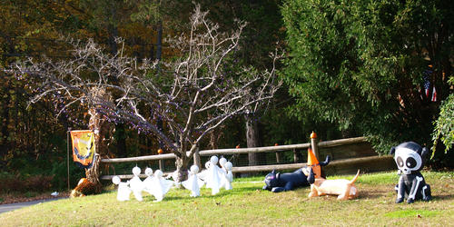 Halloween display #4