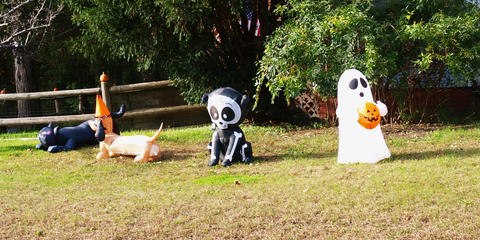 Halloween display #5