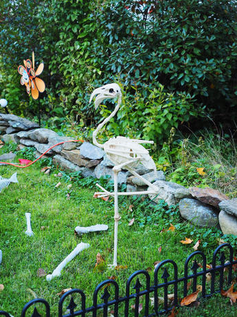 Russell Hannula's Halloween decorations #10