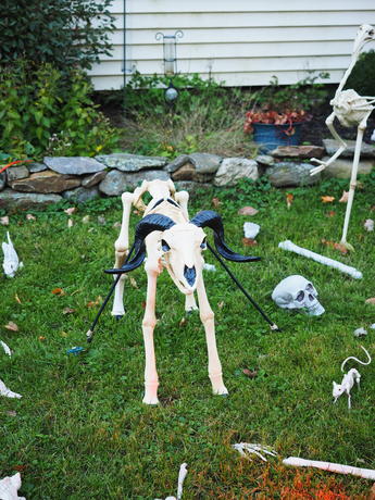 Russell Hannula's Halloween decorations #14