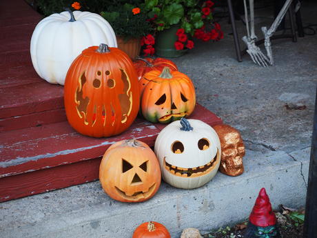 Russell Hannula's Halloween decorations #16