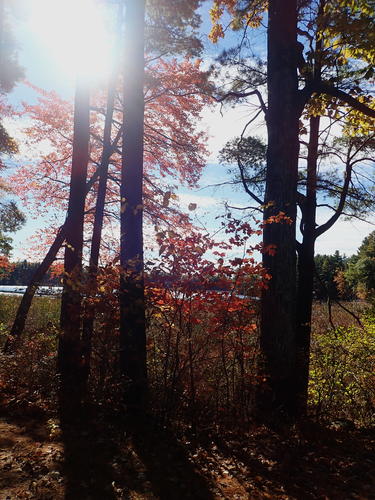 Spectacle Pond fall #2