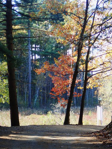 Spectacle Pond fall #5