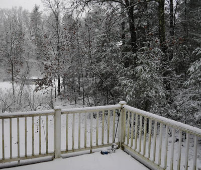 Our backyard in winter