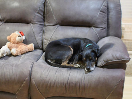 Sophie with Chrissy and Lampchop #2