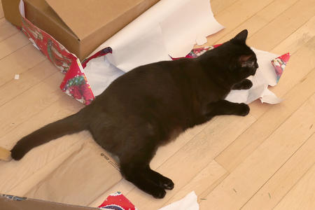 I'm a special present