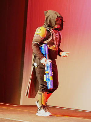 Destiny Guardian (young fan division)