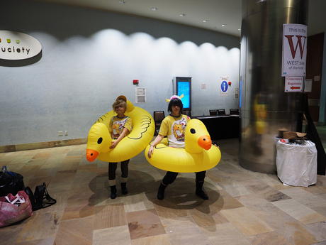Rubber ducks