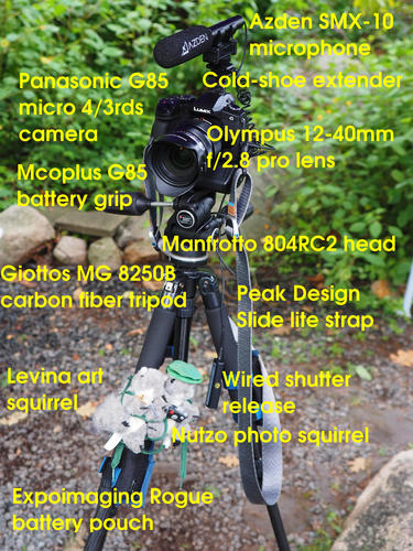 Ready to shoot some video #2