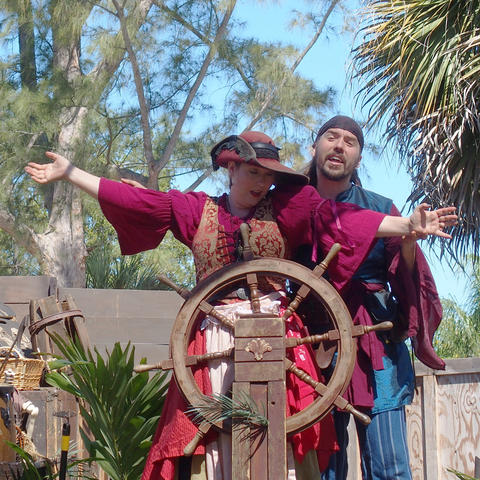 The Greatest Pirate Story (N)ever Told #8