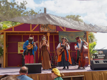 The Bremen Town Musicians #8