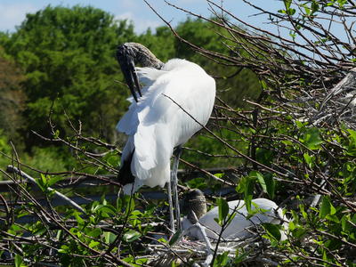 I've got to look my best