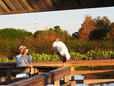 Smile, you're on candid camera