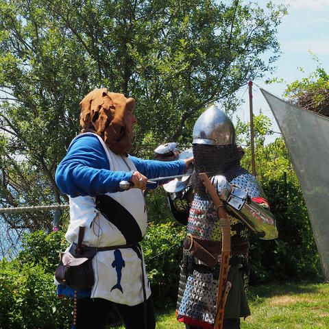 Brotherhood of the Arrow and Sword #5