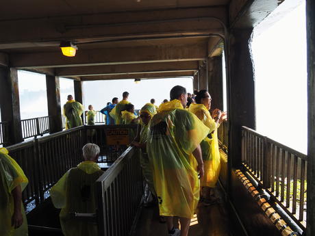 Behind the Falls viewing area