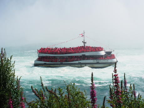 Hornblower falls cruise