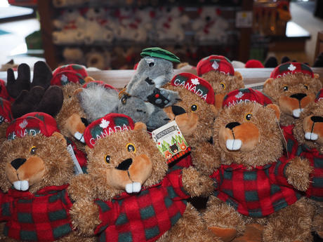 One of these is not the same