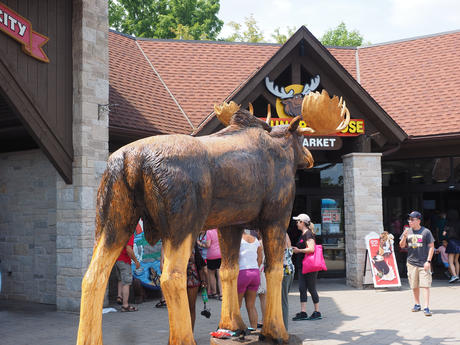 Souvenir City gift shop #2