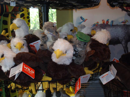 On the wings of eagles