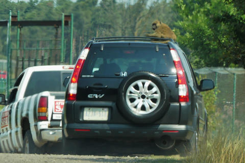 Why convertables aren't allowed