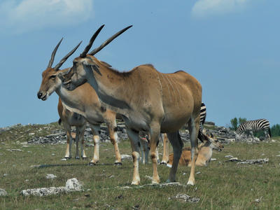 Let me share the latest gossip