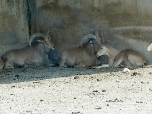 Getting out of the sun