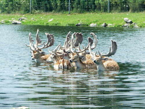 The water is wonderful