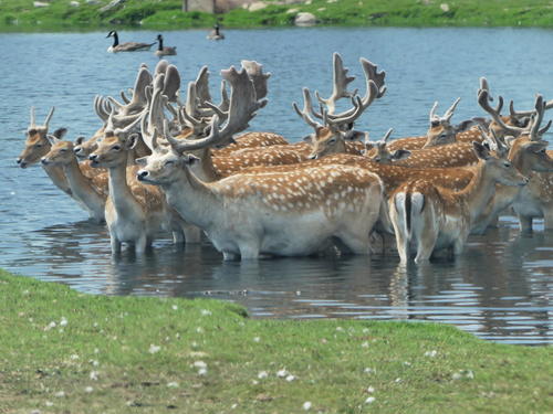 The water is wonderful #2