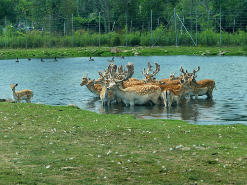 The water is wonderful #3