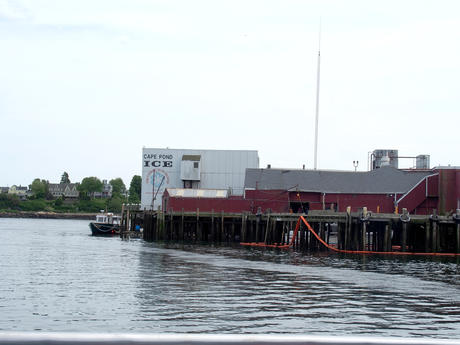 Cape Pond Ice company