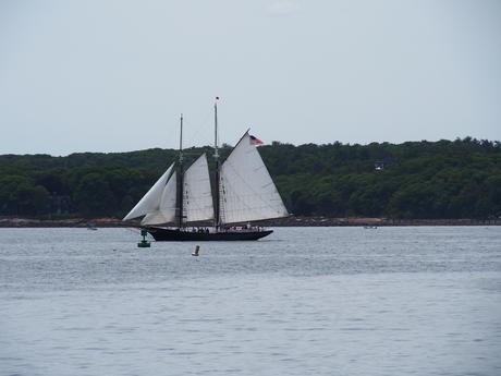 Sailboat