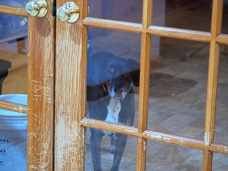 Let me into the living room to be with you