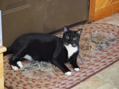 Who me?  I'm innocent, really.....