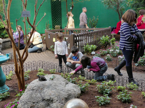 Kids and butterflies