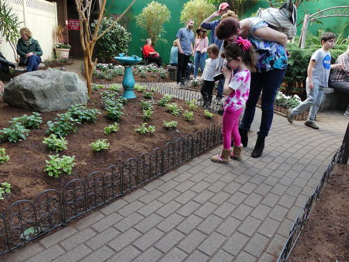 Kids and butterflies #2