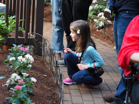 Kids and butterflies #3