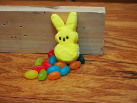 If chickens lay eags, do peeps lay jelly beans?