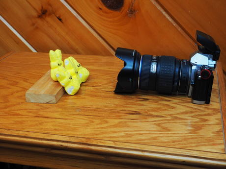 Focusing on the peeps