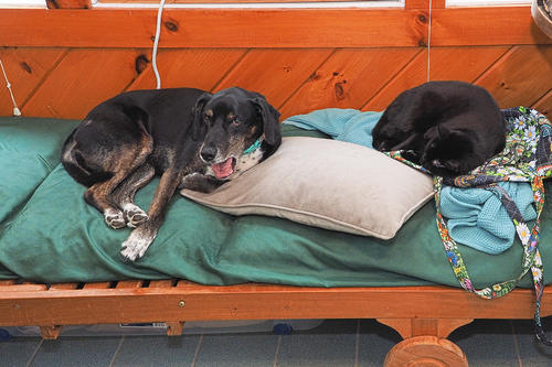 Hanging out together #2