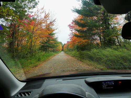 Fall through my windshield