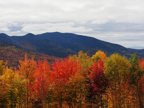 Lincoln New Hapshire fall colors #4